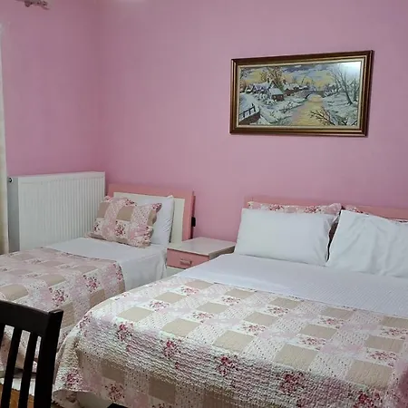 Vila Ilir Hotel Tushemisht