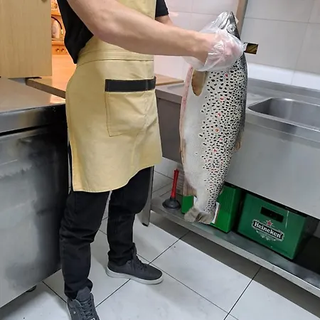 Szálloda Vila Ilir Tushemisht