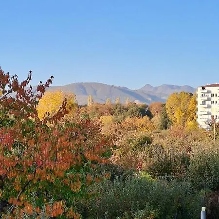 Hotel Vila Ilir